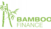 bamboo_fin-removebg-preview